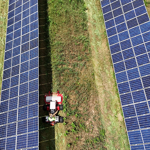 Solar Array Mowing